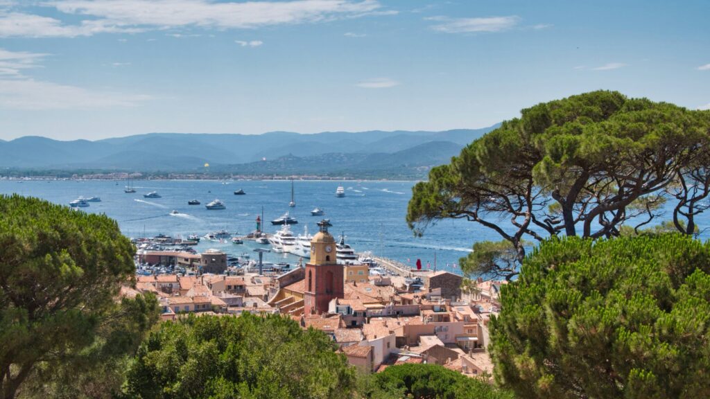 Demoustication St-Tropez - Port et golfe de Saint-Tropez vus entre les pins parasols - BioBelt
