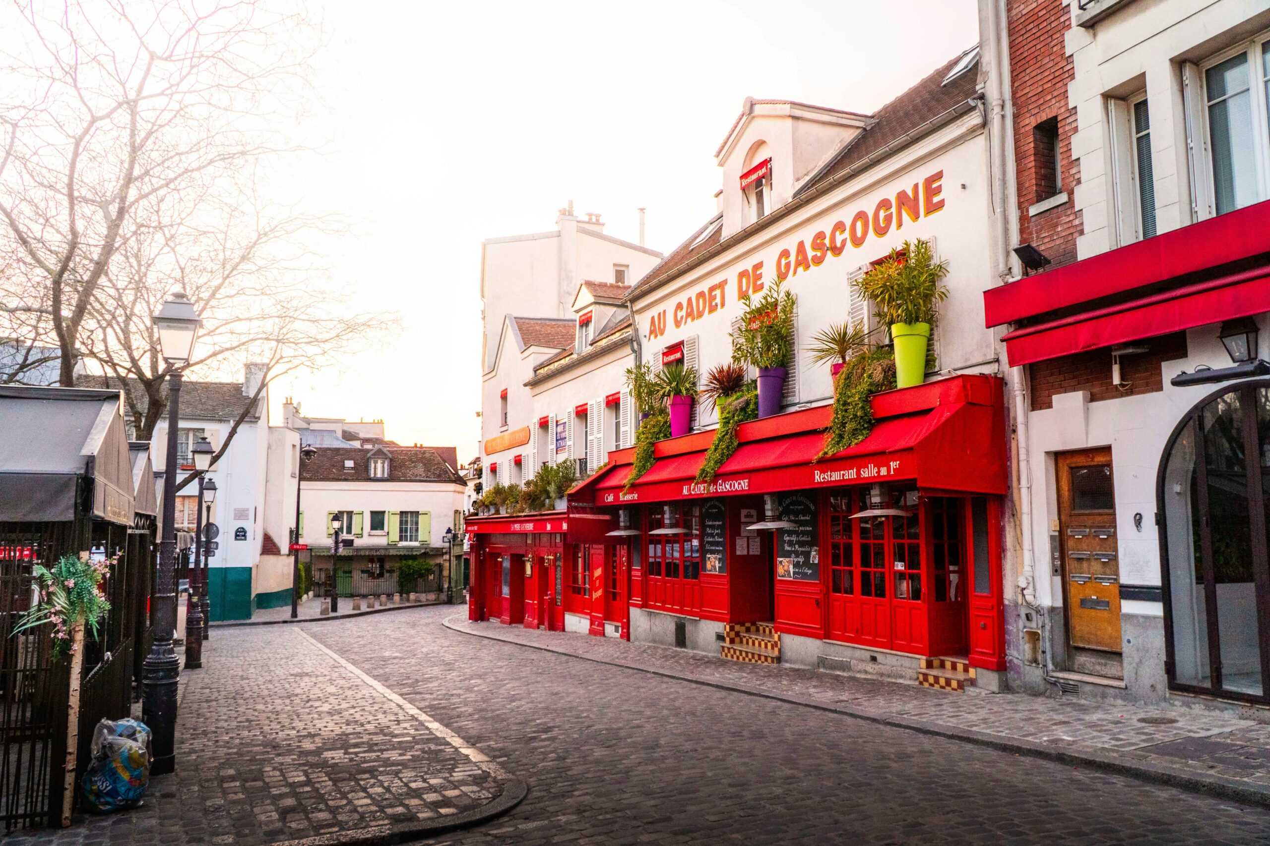 Démoustication l'Essonne